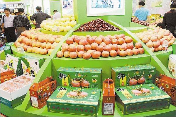 广州某公司农副产品交易配送中心项目可行性研究报告
