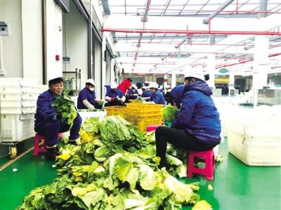 华欣泰咨询：XXX公司现代农产品交易中心建设项目