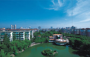 山东省某市市民中心建设项目建议书案例