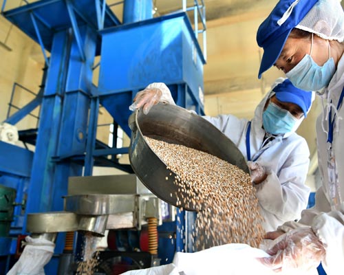 华欣泰咨询：某新屋经济合作社农产品深加工产业园可研报告