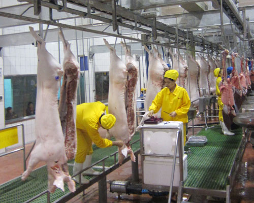 华欣泰咨询：某禽类屠宰加工项目可行性研究报告
