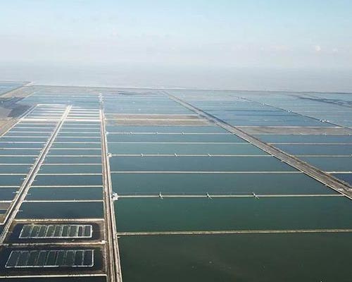 华欣泰咨询：某现代海洋种业产业园项目可行性研究报告