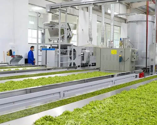 华欣泰咨询：某茶叶加工场新建加工项目可行性研究报告