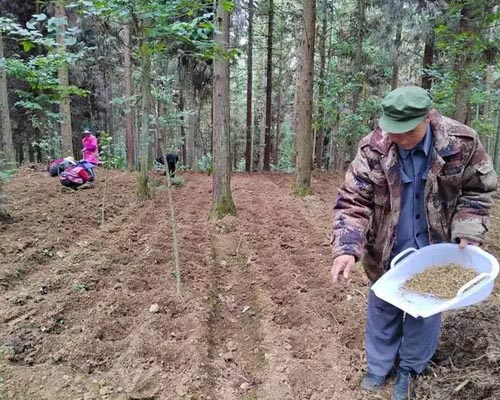 华欣泰咨询：某林下中药材种植基地项目可研报告