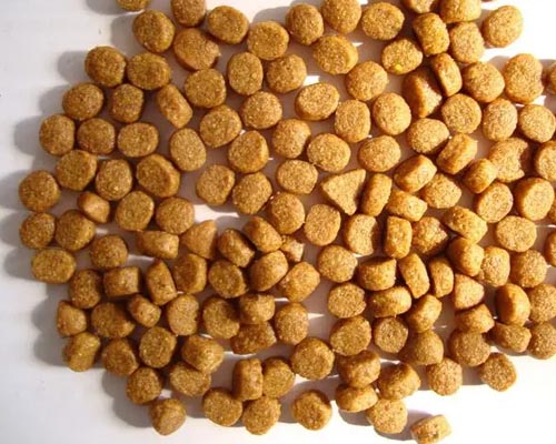 华欣泰咨询：某年产6万吨鱼料膨化饲料生产线项目可行性研究报告