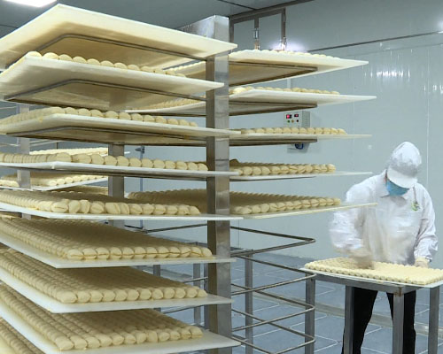 华欣泰咨询：某食品有限公司豆制品加工项目可研报告