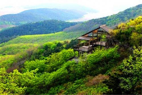 华欣泰咨询：阿婆髻森林公园可行性研究报告
